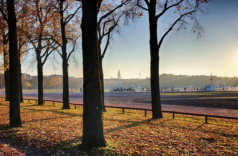 Autumn Festivals in Germany: A Season-by-Season Planning Guide