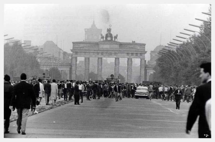 Festivals in Berlin: A Local's Guide to the City's Signature Events