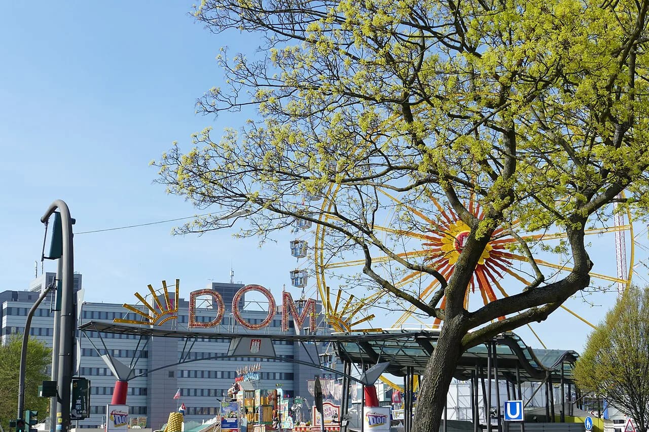 Hamburger DOM Food Guide: What to Eat at Hamburg's Big Fair