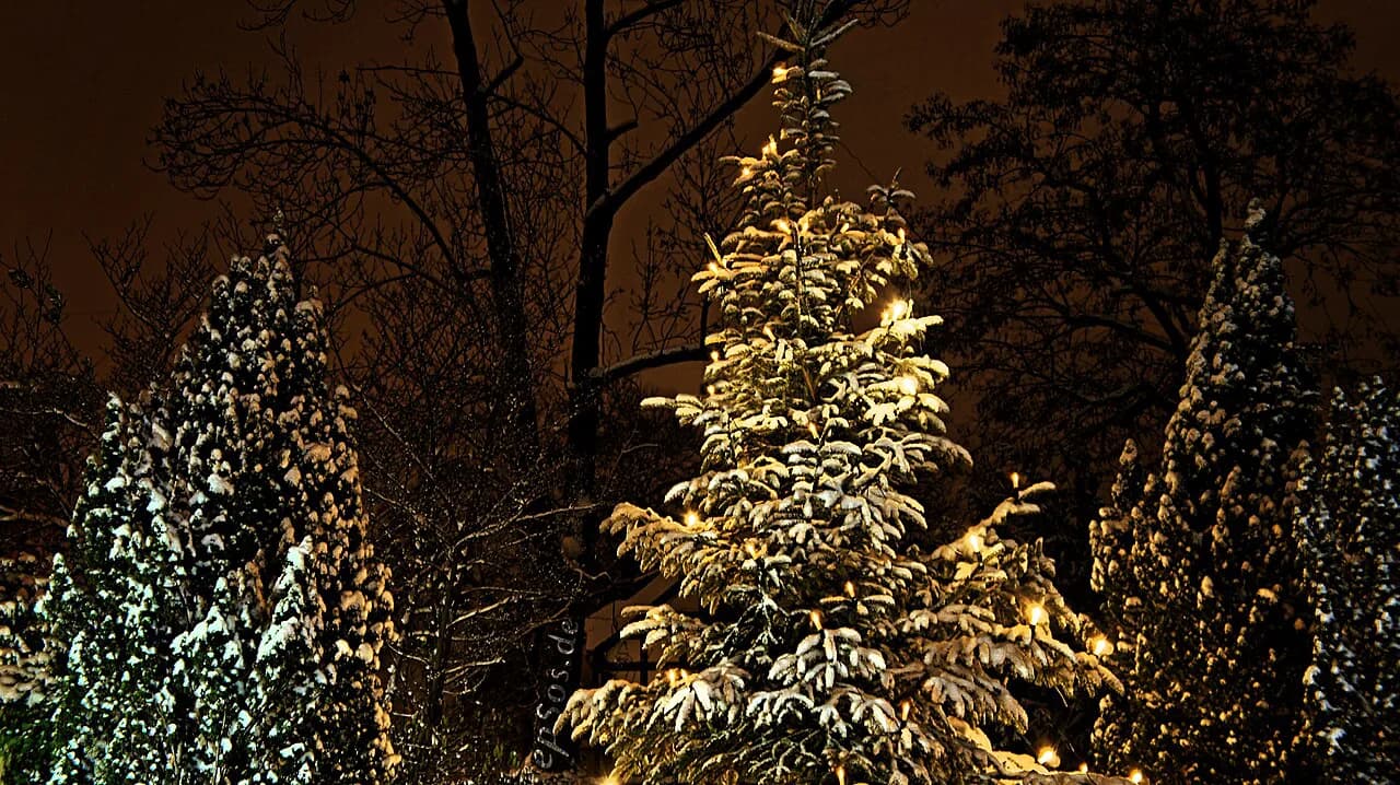 Winter Festivals in Germany: Christmas Markets, Carnival, and Beyond
