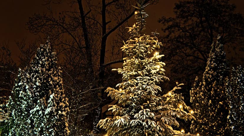 Winter Festivals in Germany: Christmas Markets, Carnival, and Beyond