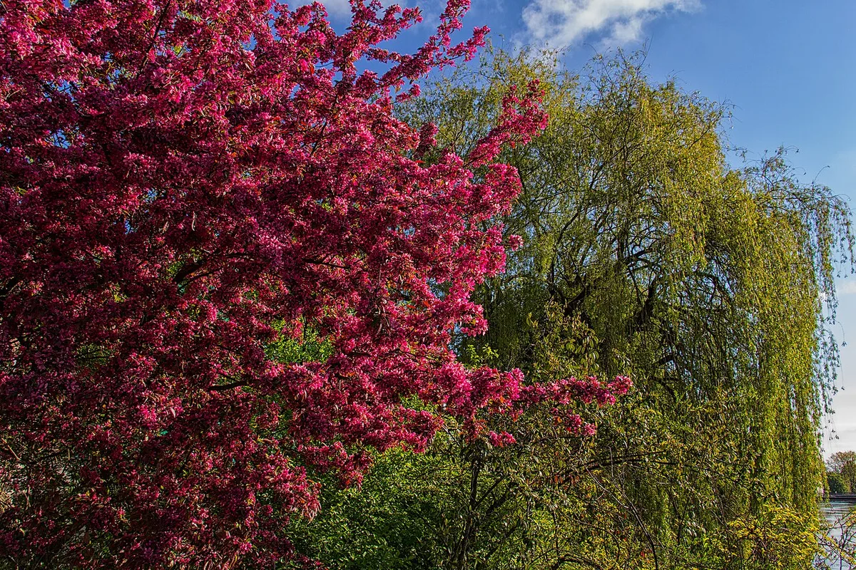 Spring (152799411) — 2