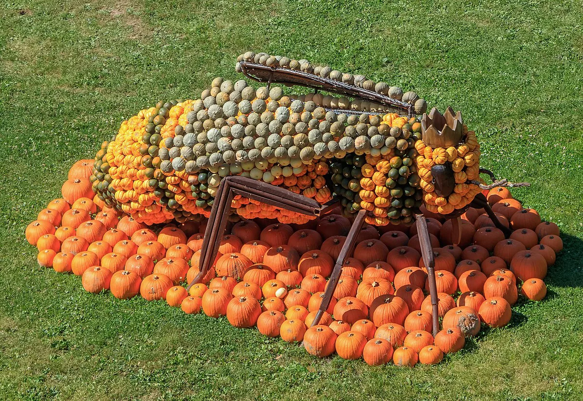 Visitors walking among pumpkin displays in the Blühendes Barock gardens, Germany — 1