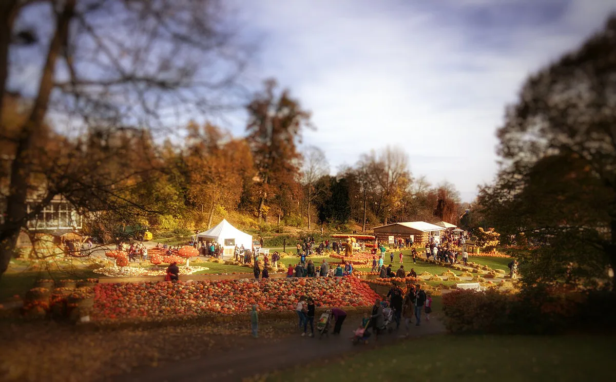 Kürbisausstellung im Schlossgarten — 2