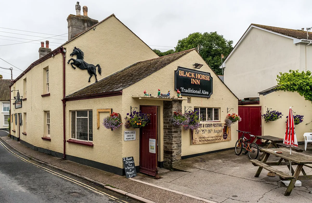 Braunton (Devon  UK)  Black Horse Inn -- 2013 -- 00169 — 2
