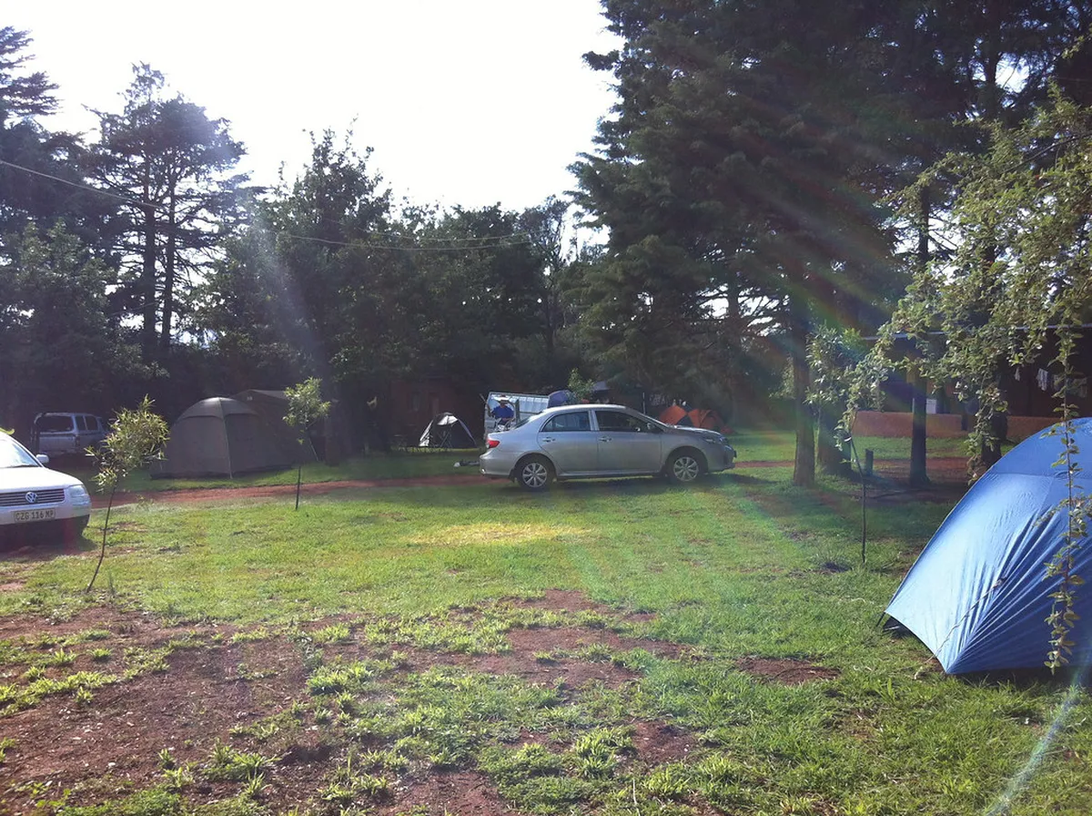 Camping and Accommodation Options Near Wacken